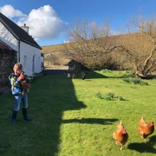 A beautiful Sunday after wakening to a thick layer of snow. Hoping Spring is here to stay this time! #oldmoorens #promoteshetland #visitshetland #crofthouse #hens #henwhisperer #springtime #voar