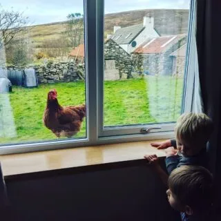 🌸 EASTER AVAILIBILITY 🌼 Due to a cancellation we have availibility over the Easter weekend and into next week. Our hens would love to lay you an egg or two for your Easter breakfast 🍳 Check out the website. #easterbreak #nosyhen #staycation