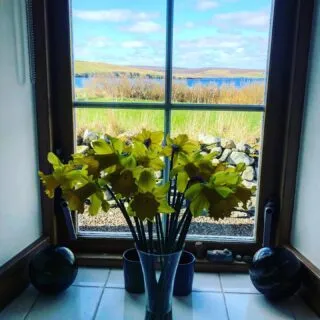 Spring is definitely in air. Still cold, but a beautiful bright day for the first day of April ☀️🐣 #promoteshetland #visitshetland #crofthouseholiday #islandliving #springisintheair